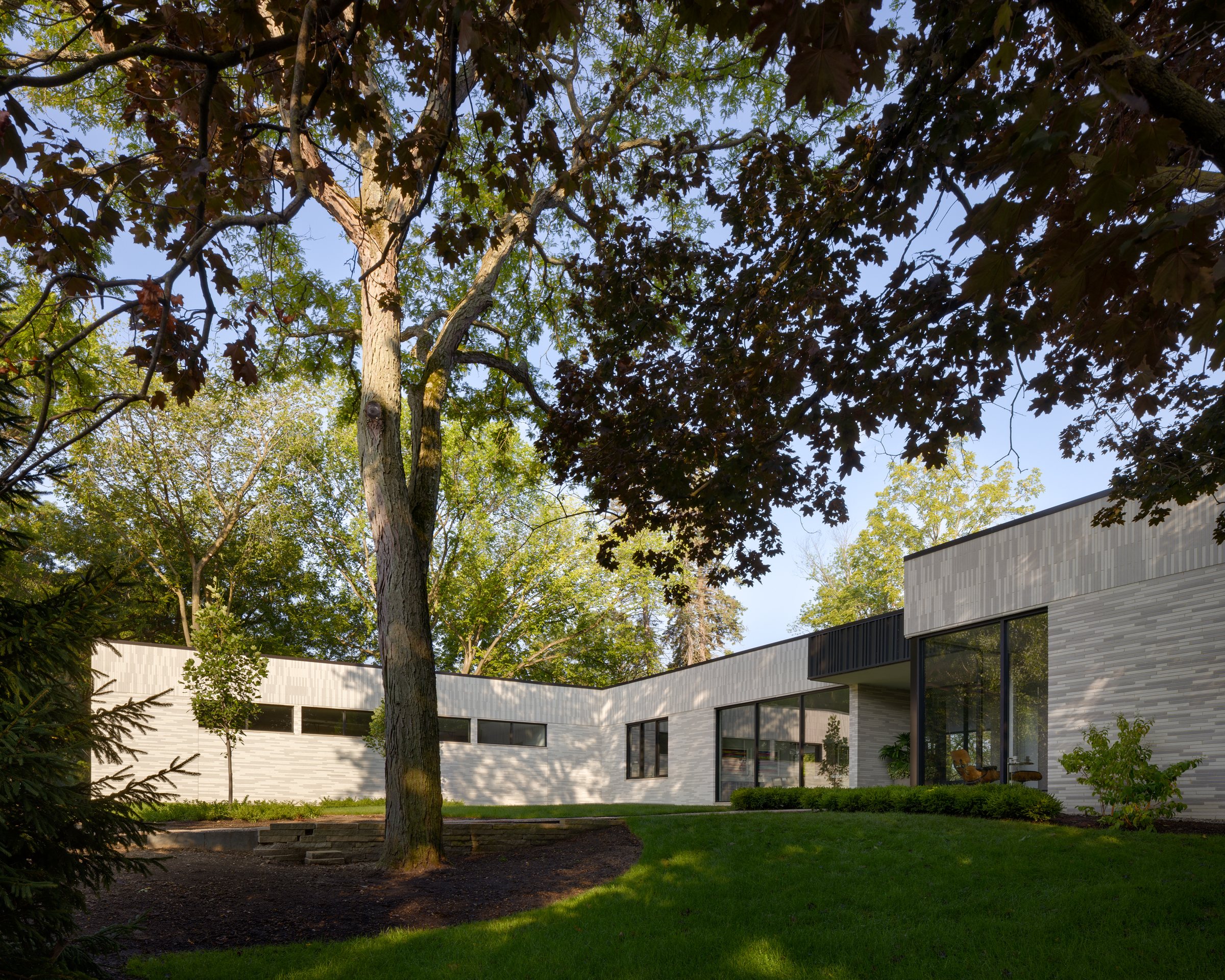 Brick and glass volumes seen beneath a mature oak