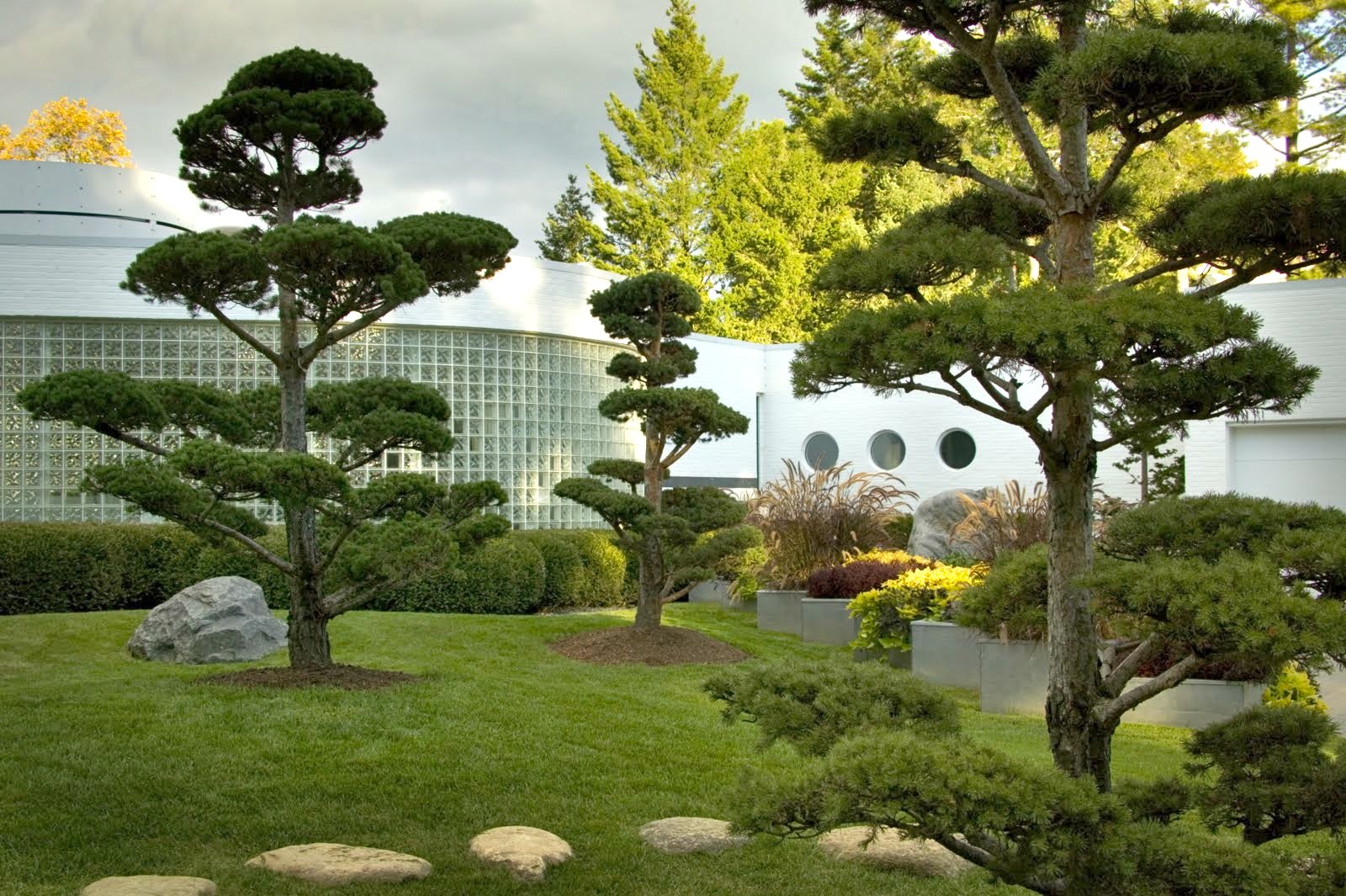 Cloud-pruned pines in front of the white brick and glass block